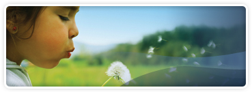 Environmental Responsibility