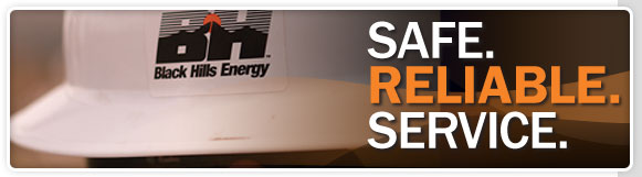 Safe. Reliable. Service.