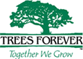 Trees For Ever Logo