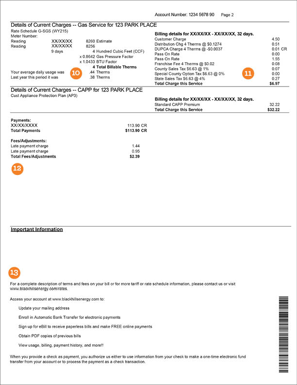 Black Hills Energy Bill Pay Vietnam Xxx Photo