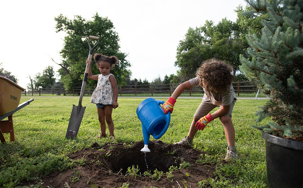 811 call before you dig planting