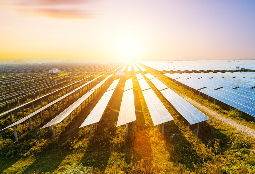 Colorado solar garden