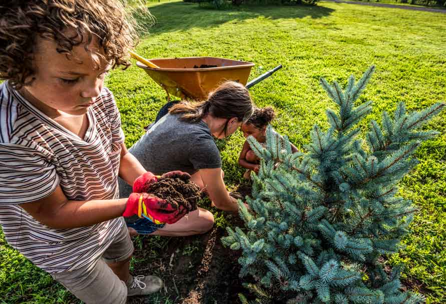 black-hills-energy-celebrates-earth-day-with-free-trees-colorado