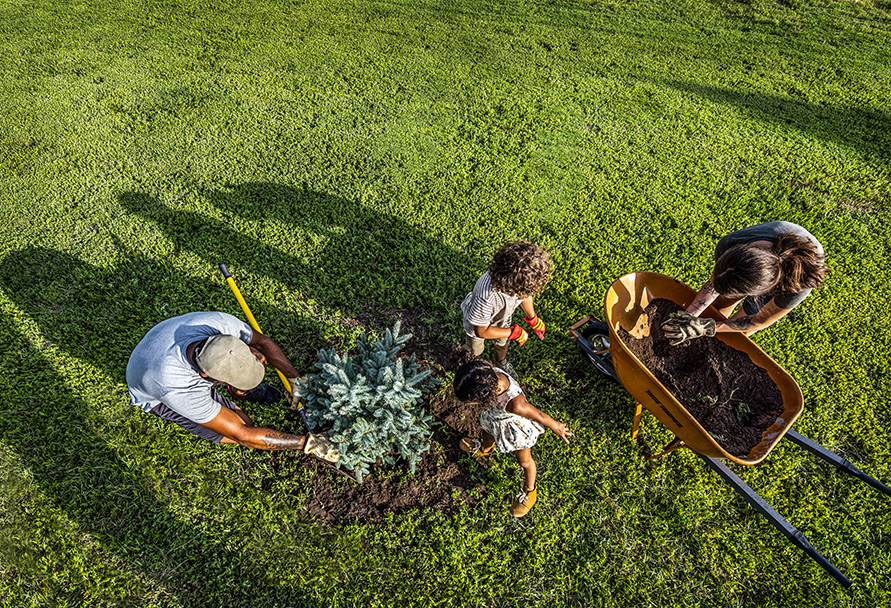 Black Hills Energy Celebrates Earth Day With Free Trees Kansas 