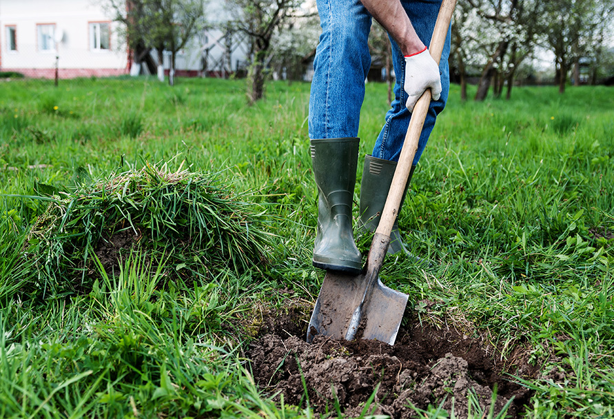 digging