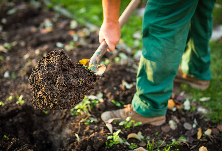 safe digging