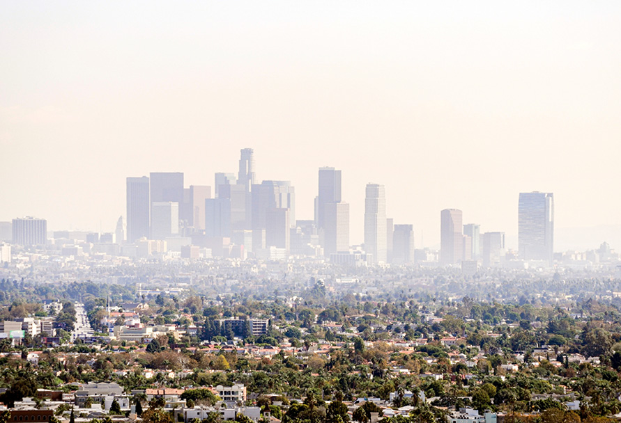 Air quality in a large city