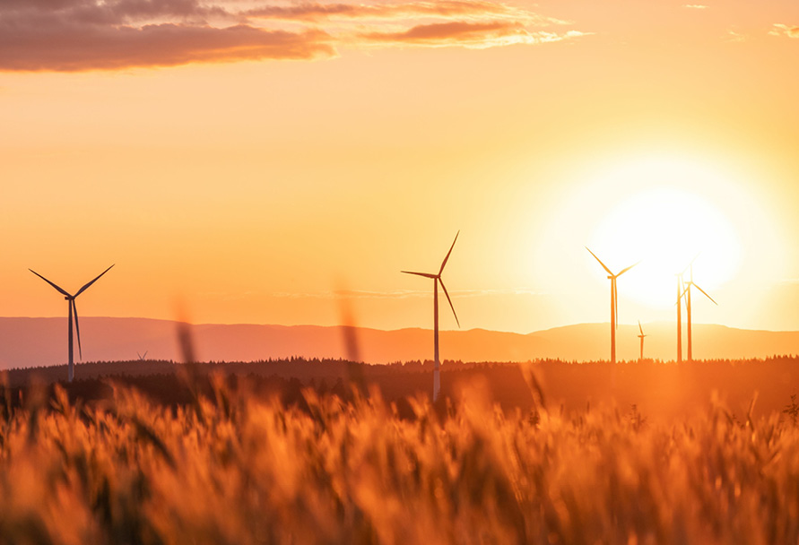 Wind turbines in a wheat field