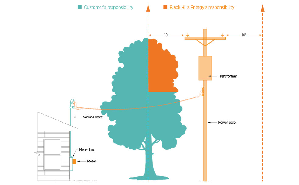 tree diagram