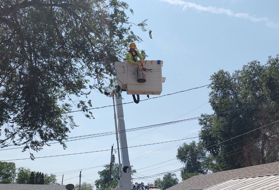 A lineman in a bucket truck putting a baby red-tailed hawk back into its nest