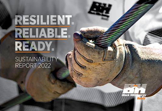 2022 sustainability report