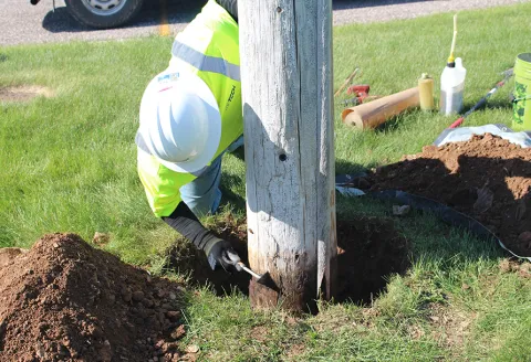 Inspecting wooden pole for decay and damage